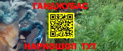 гидропоника Кимры