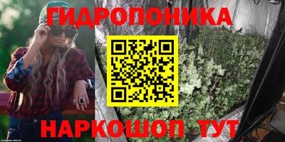 гидропоника Кимры