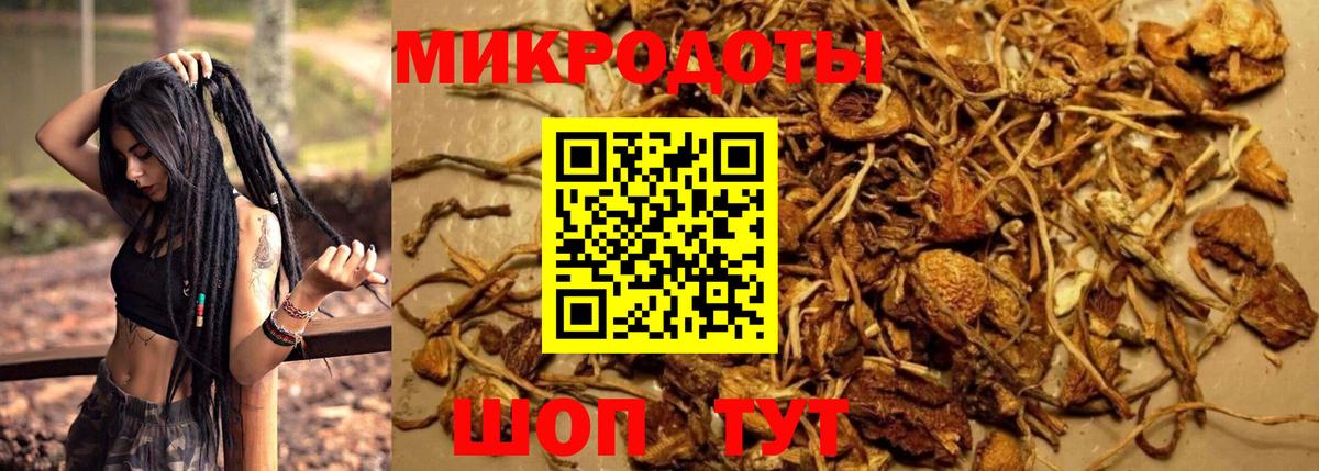 Галлюциногенные грибы прущие грибы Волжск